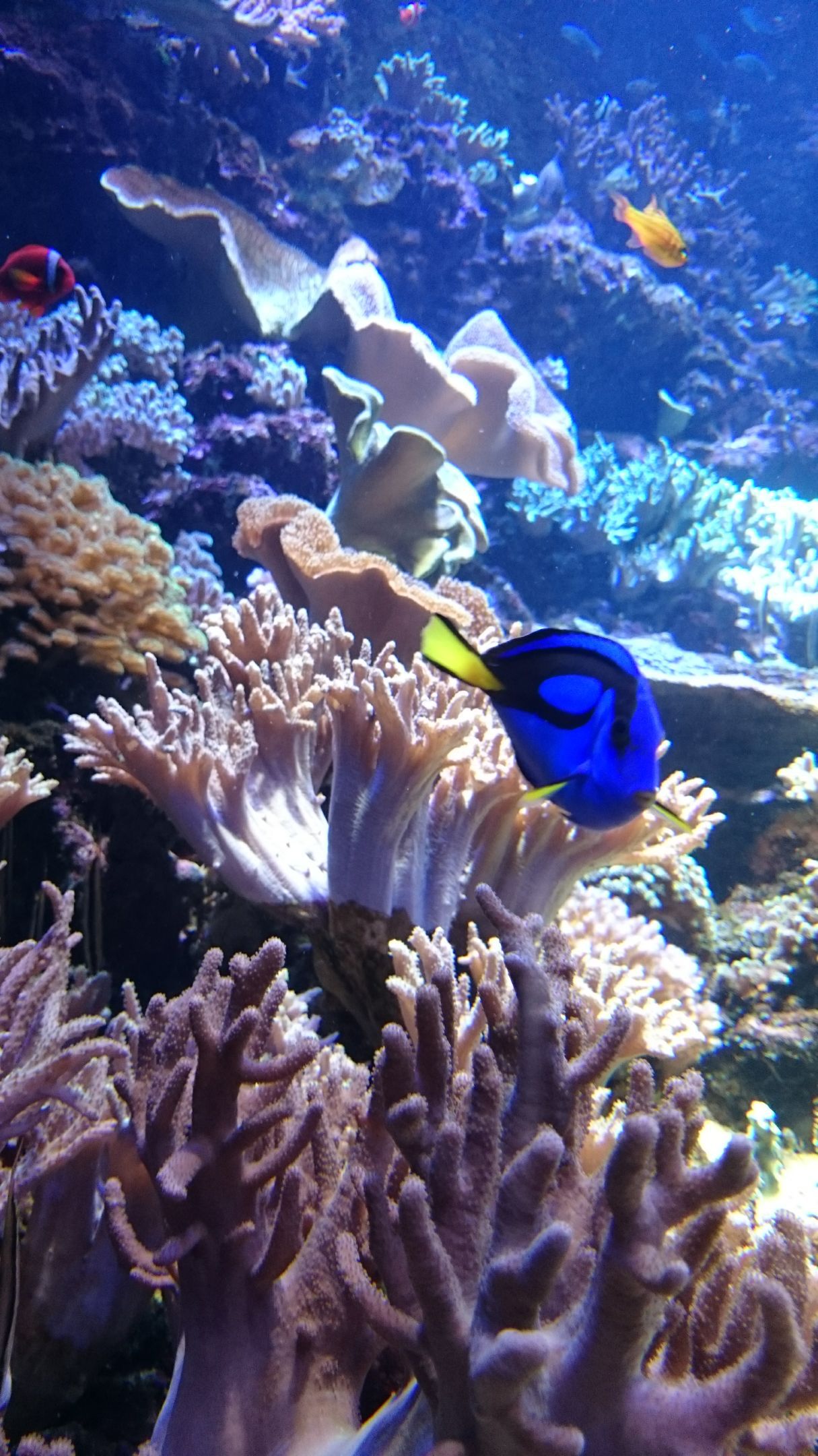 DSC_1915.jpg