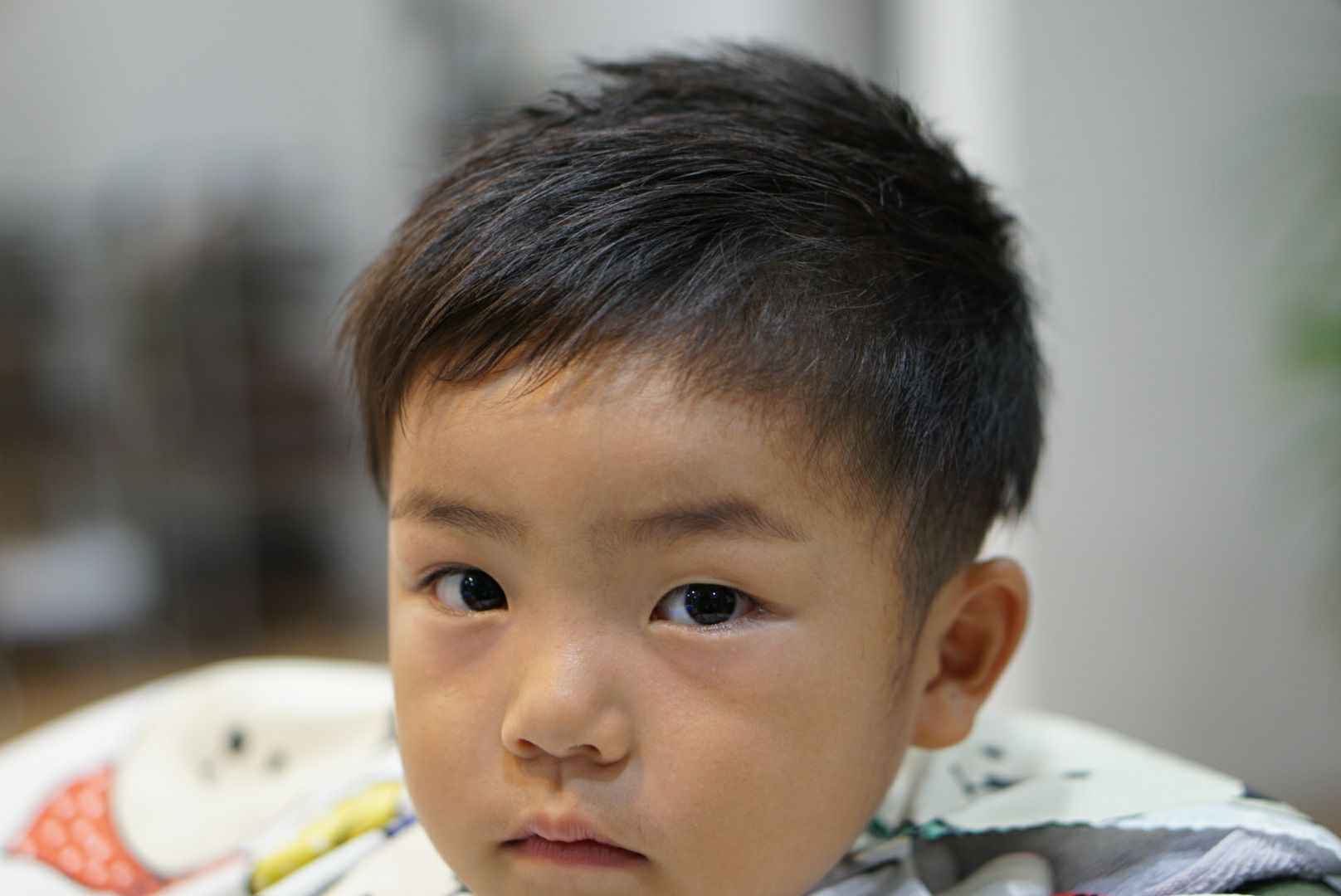 DSC03167.jpg